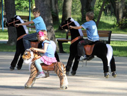 Animal rides in the park
