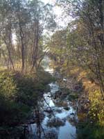 river rabka autumn